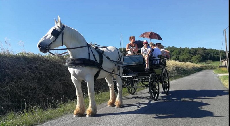 2025 Attelage &amp; Nature VENDOIRE (13)