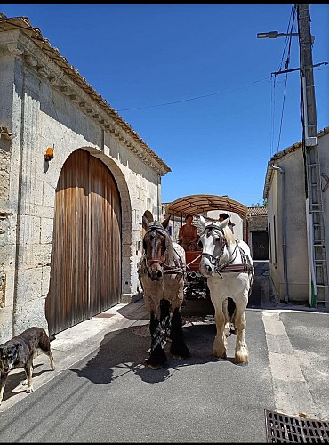 2025 Attelage &amp; Nature VENDOIRE (7)