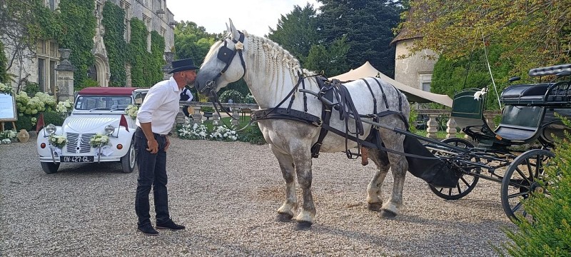 2025 Attelage &amp; Nature VENDOIRE (15)