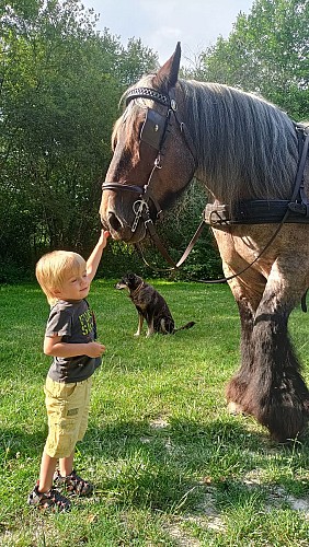 2025 Attelage &amp; Nature VENDOIRE (4)