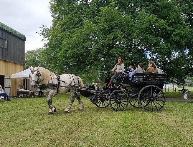 2025 Attelage &amp; Nature VENDOIRE (2)