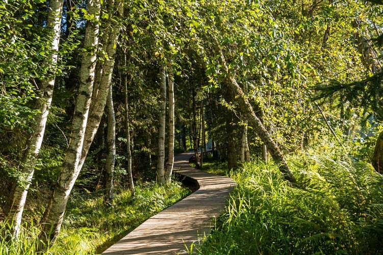 DER SEE "LAC DE LISPACH"