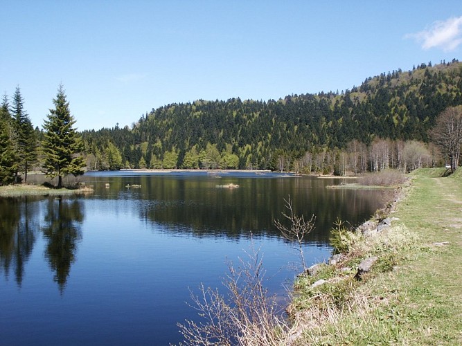 Het meer "lac de lispach"