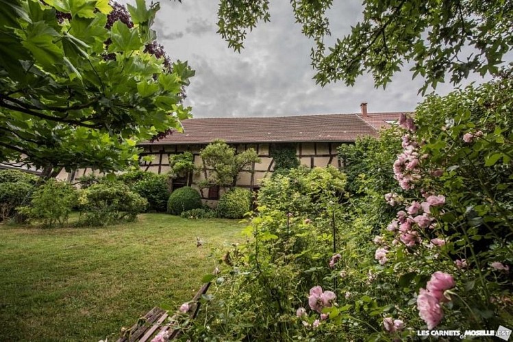 Arboretum de la Maison Güth - Hoste