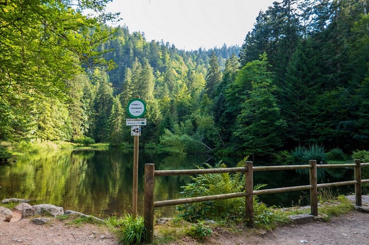 Pond étang de sèchemer