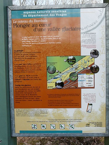 Le Coteau du Bambois