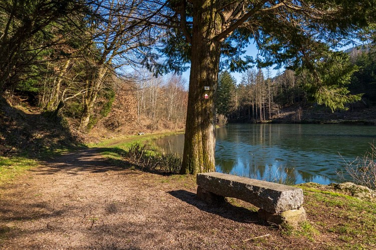 Le Coteau du Bambois
