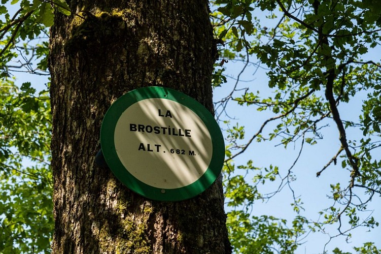 La roche de la brostille