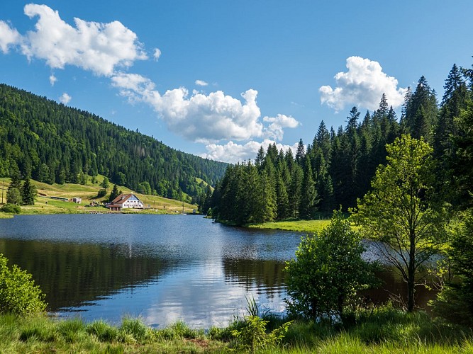 Les tourbières de lispach et de la ténine