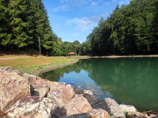 Etang de la Papiermühle