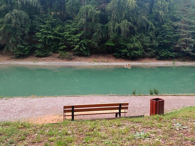 Etang de la Papiermühle