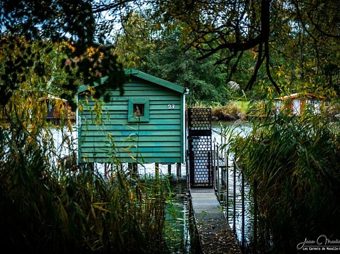 Cabanon sur l'étang de Hoste