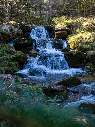 wasserfall  morbieux