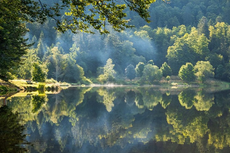 DER SEE "LAC DE BLANCHEMER"
