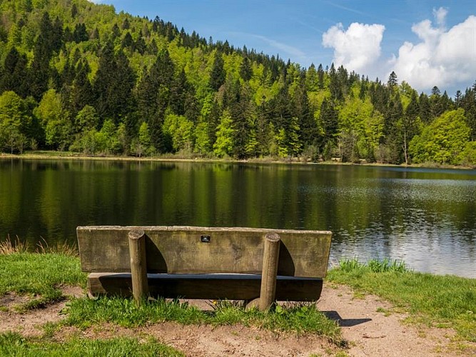 Het meer "lac de blanchemer"