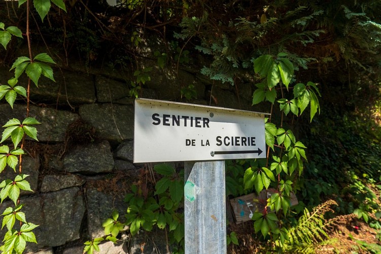 Sentier de la scierie