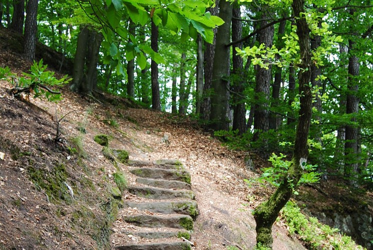 L'AVISON / LE MIRADOR