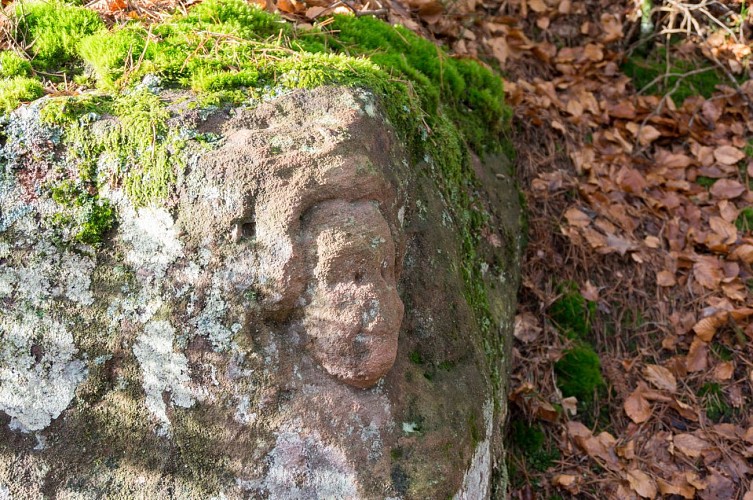 L'avison / le mirador