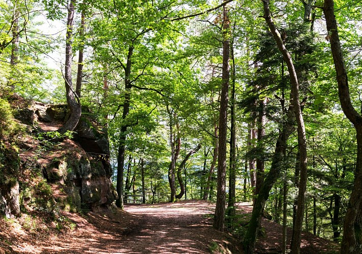 L'Avison - Le mirador