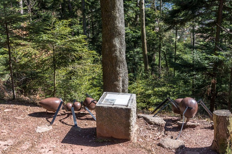 La Montagne des Fourmis Géantes