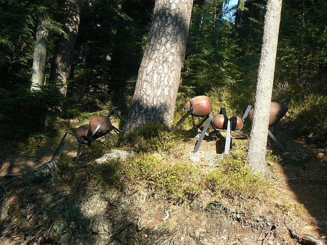 La Montagne des Fourmis Géantes