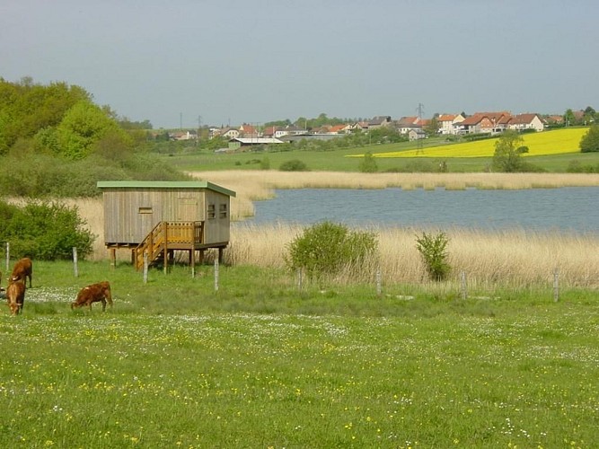 Observatoire à oiseaux