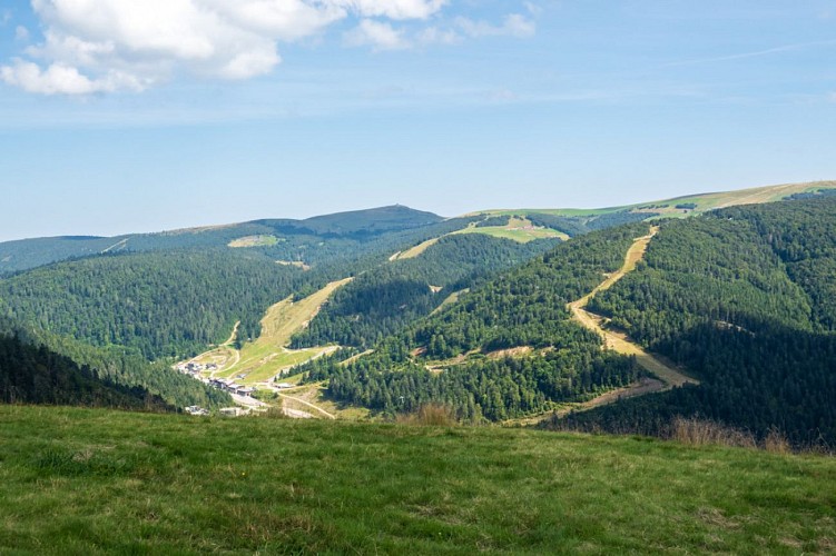 La chaume des champis