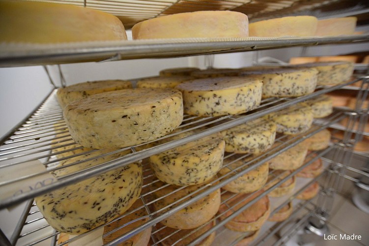 Ferme  des Cotes du Frene