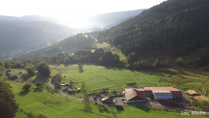 gaec des cotes du frene