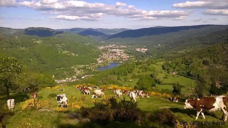 gaec des cotes du frene