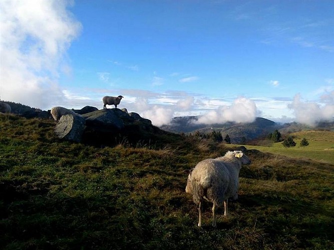 Ferme de montagne entre les gouttes