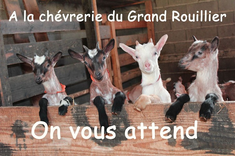 Chèvrerie du grand rouillier