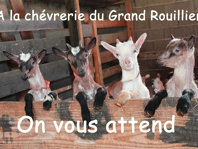 CHÈVRERIE DU GRAND ROUILLIER