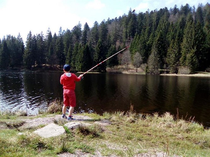 ANGELN IN LA BRESSE