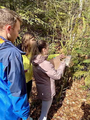 Geocaching with mont aventure vosges