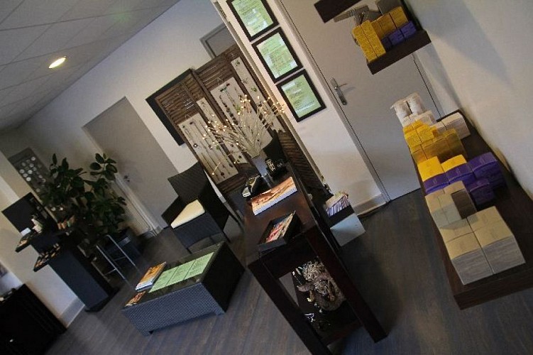 Institut Terre des sens