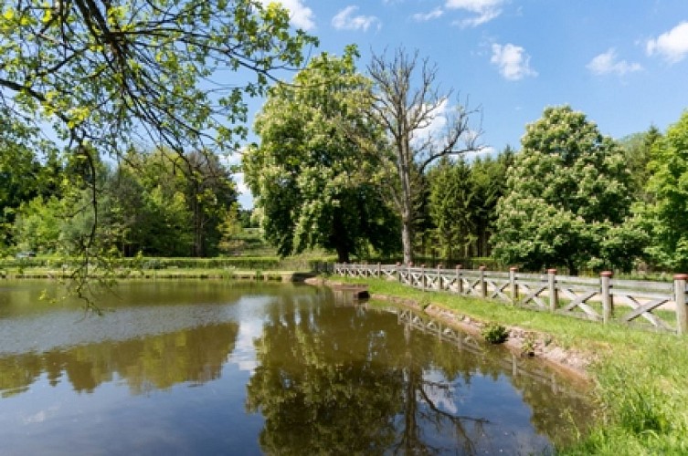 grand étang de Pointhaie