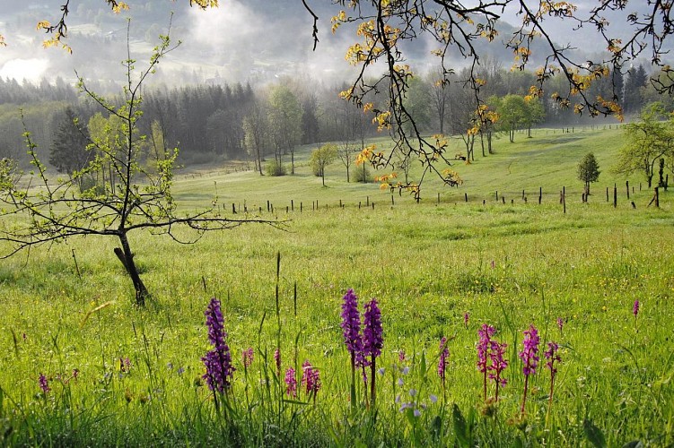 gilles gounant - randonnées photos