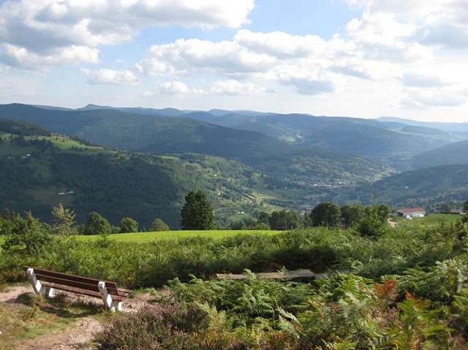 La pierre des 4 communes