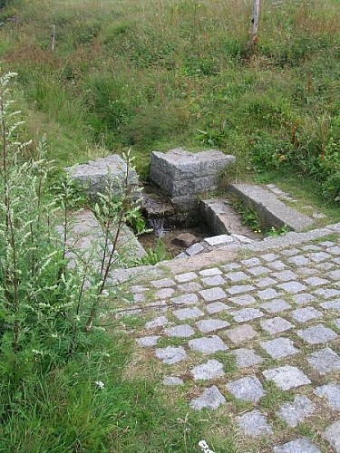 QUELLE DES FLUSSES "LA MOSELOTTE"