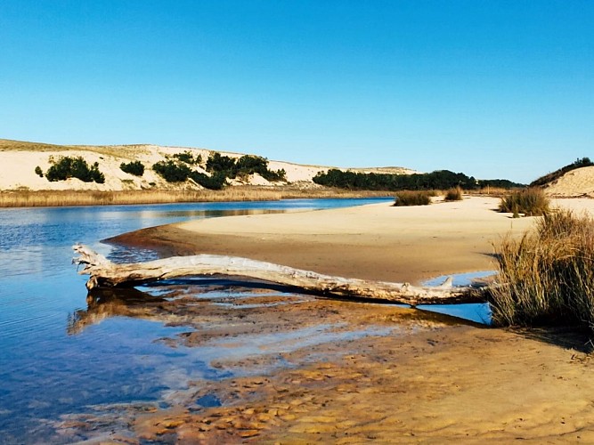 2-Aici Hemen_Soustons_OTILAS