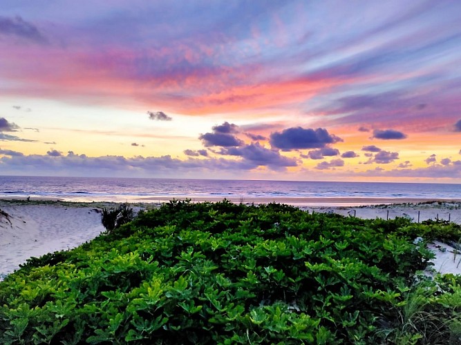 7-Aici Hemen_Soustons_OTILAS