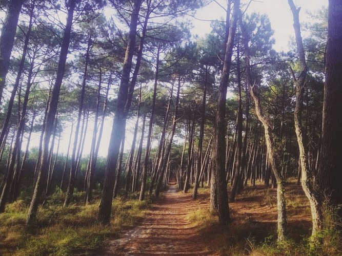 4-Aici Hemen_Soustons_OTILAS