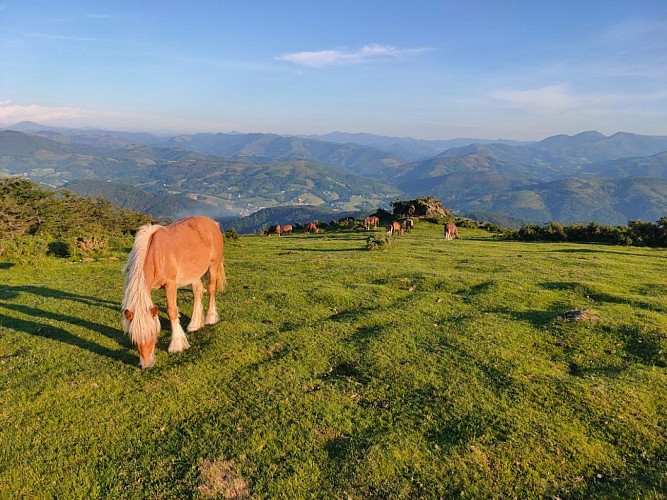 5-Aici Hemen_Soustons_OTILAS