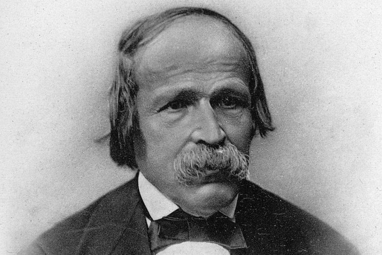 Friedrich Simony (1813 - 1896)