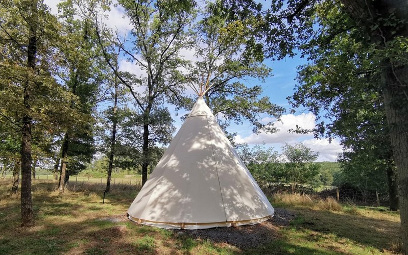 Tipi 4