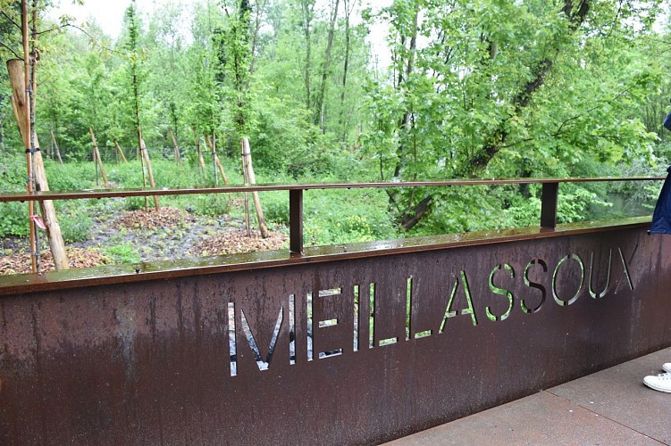 La passerelle Meillassoux