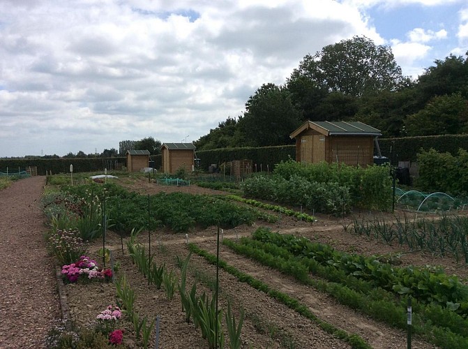 Les jardins familiaux