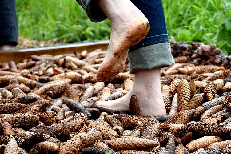 Parcours Pieds Nus