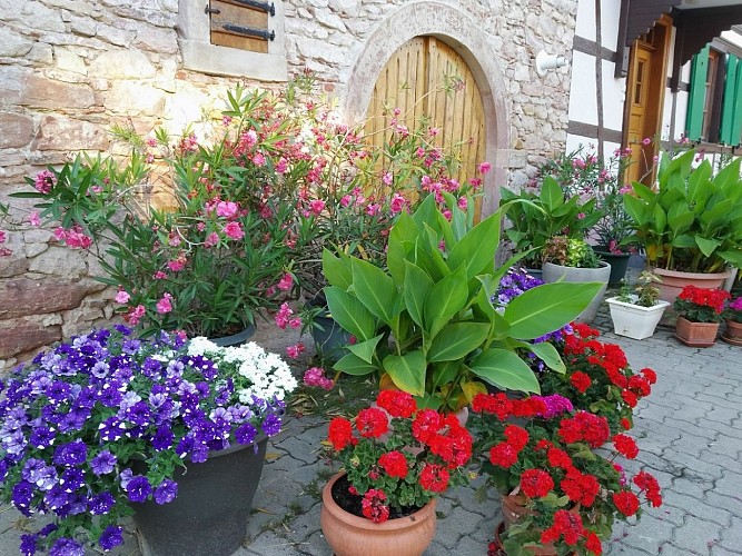 Furnished accomodation Chantal EHRHARD - Le nid des hirondelles